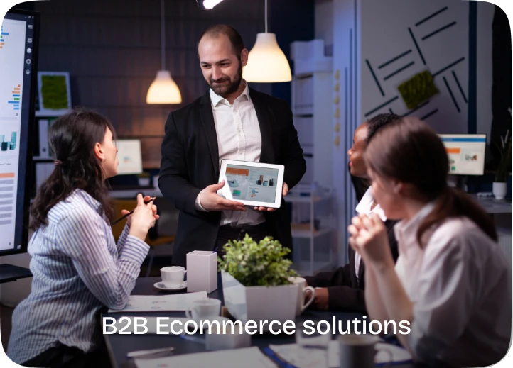 Ecommerce consulting services