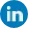 LinkediN Icon